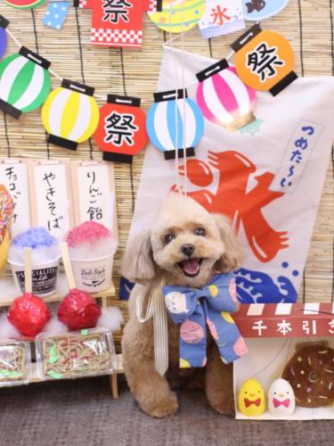 20240731バーディーくん